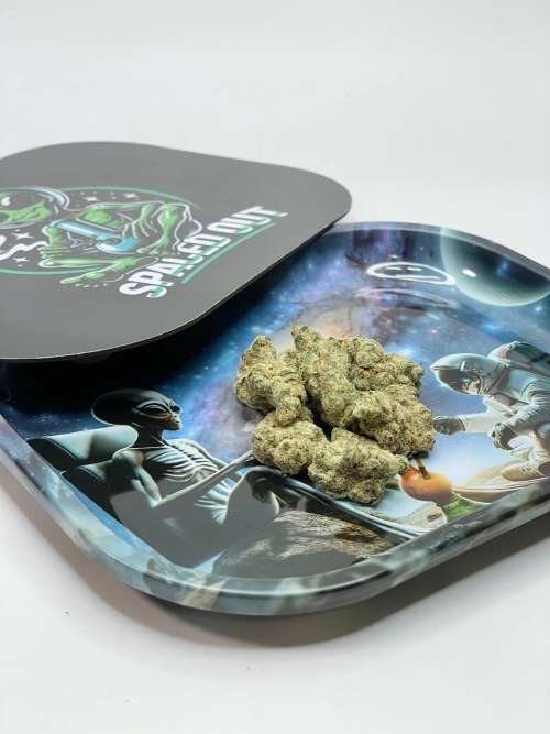 S.O Flower Trays - Magnetic Lid