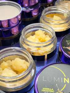 Luminate Sugar - Breakdown New Pricing!
