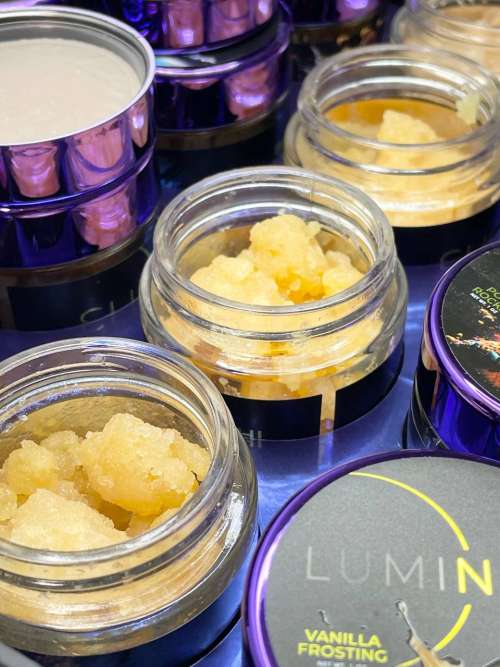 Luminate Sugar - Breakdown New Pricing!