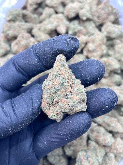 Super Lemon Haze A+++