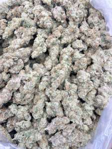 Sour Diesel NOW BACK!!!