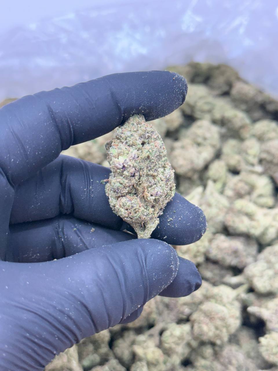 Bubblegum Runtz - Image 2