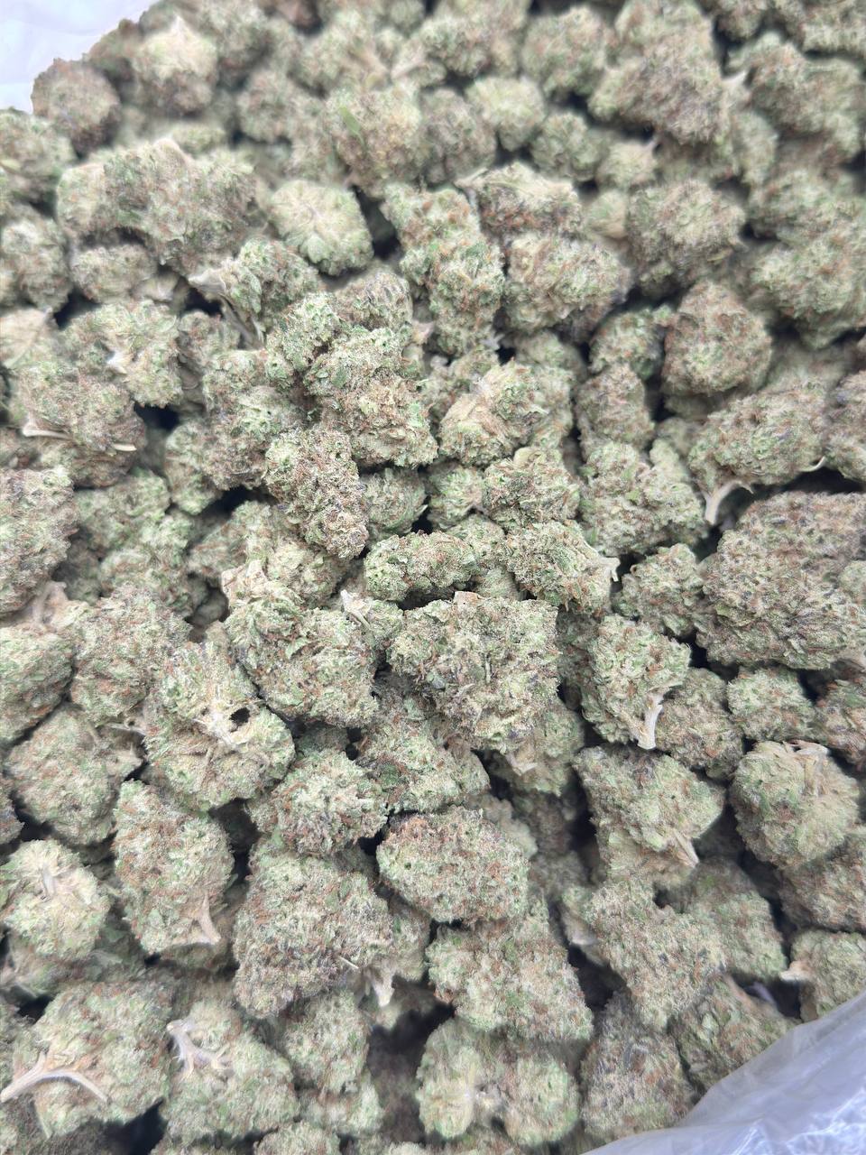 Peanut Butter Lady - Image 3