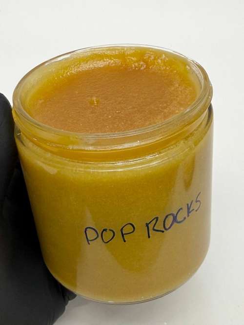 Whole Sale Sugar & Badder