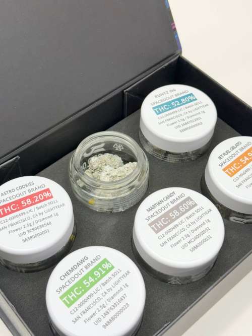 S.O Diamond Infused Flower Bundle Box NOW BACK!  SALE