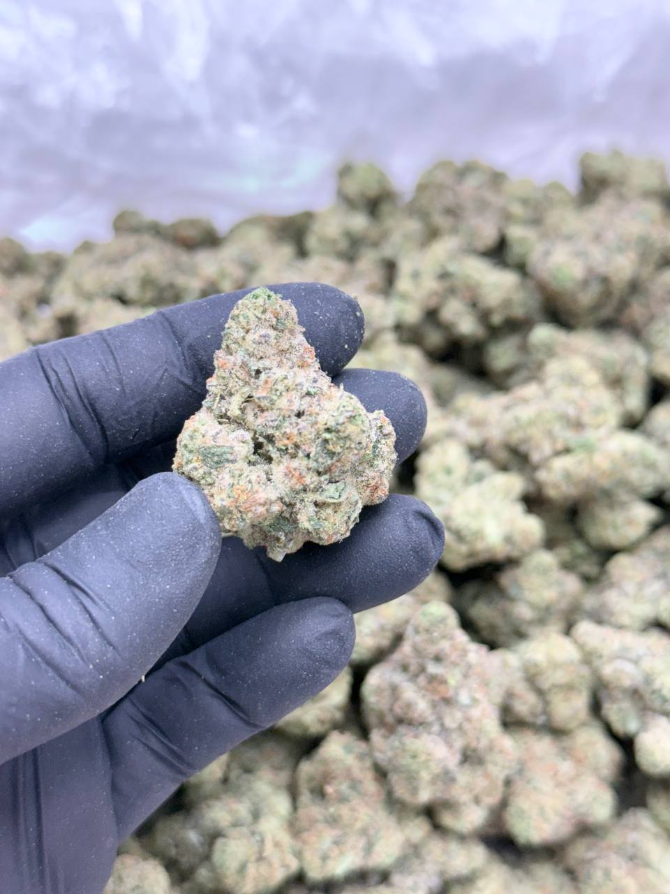 Scented Marker - Image 4