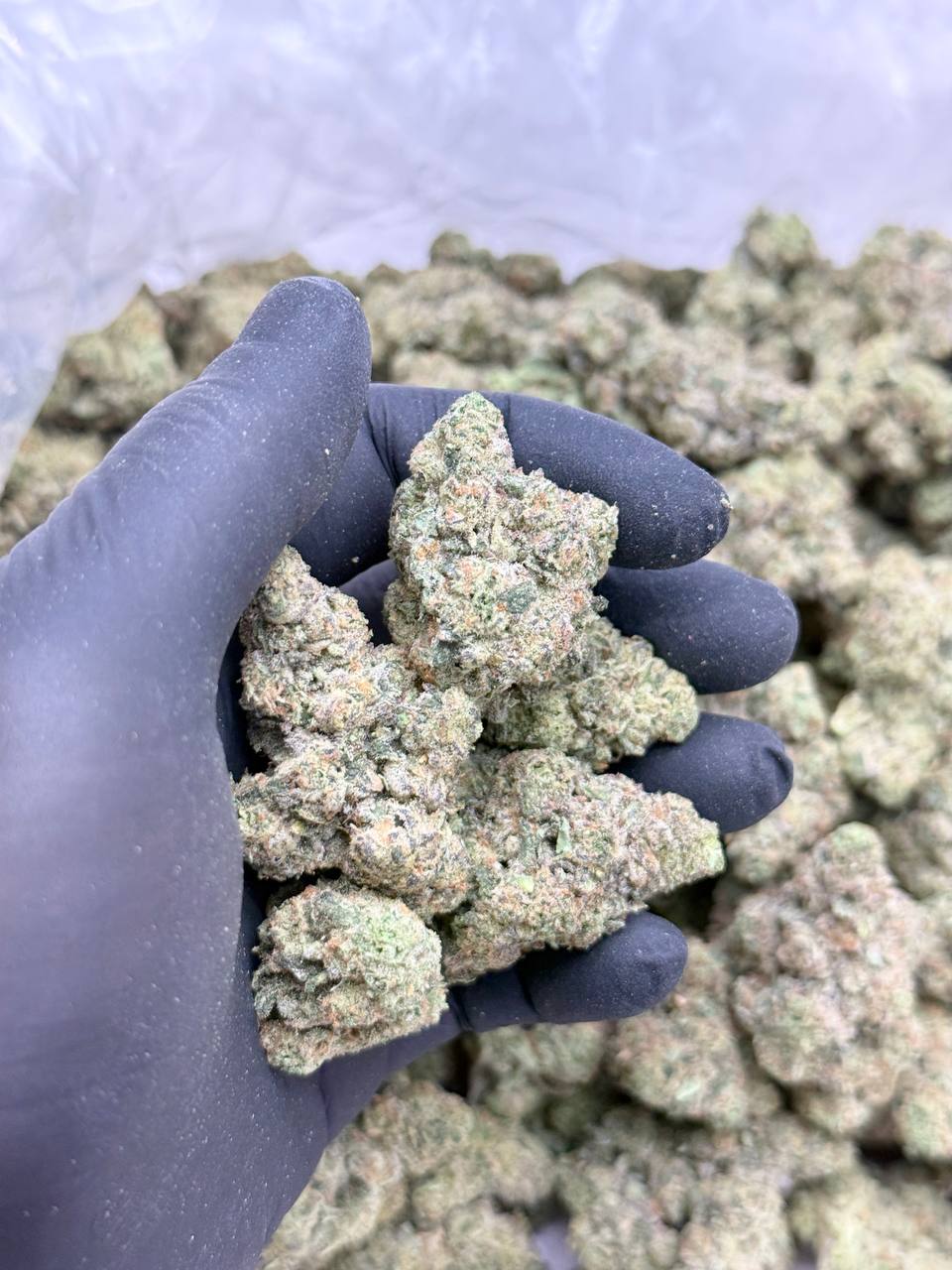 Scented Marker - Image 2