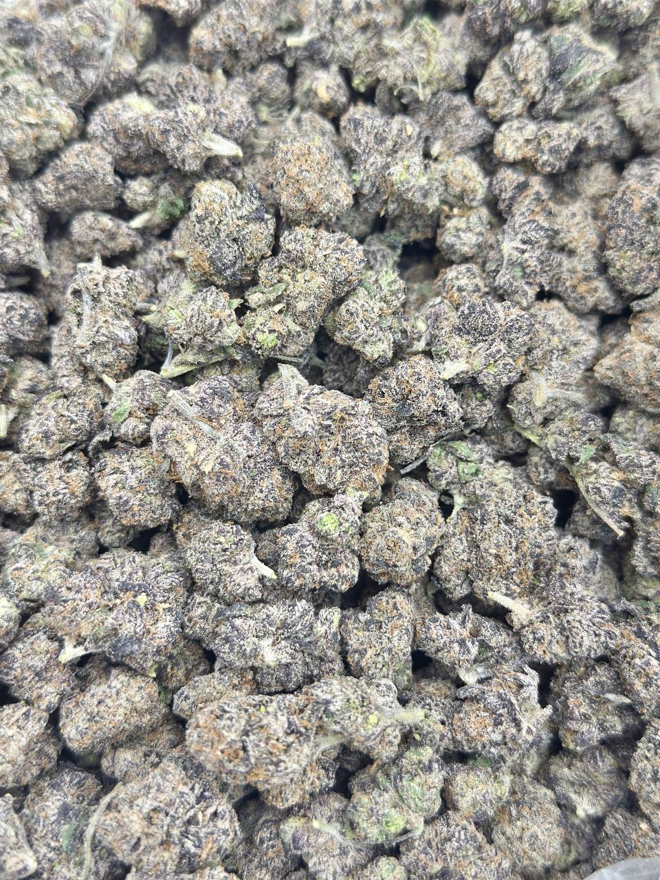 Blue Oreo Mediums - Image 3