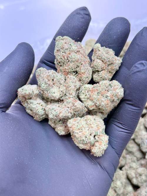 Orange Cream Pop
