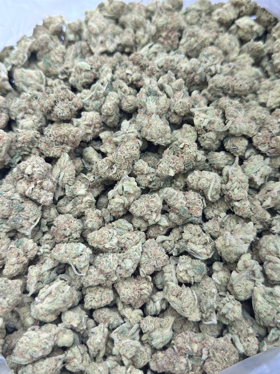 Garlic Cocktail Mediums - Image 2