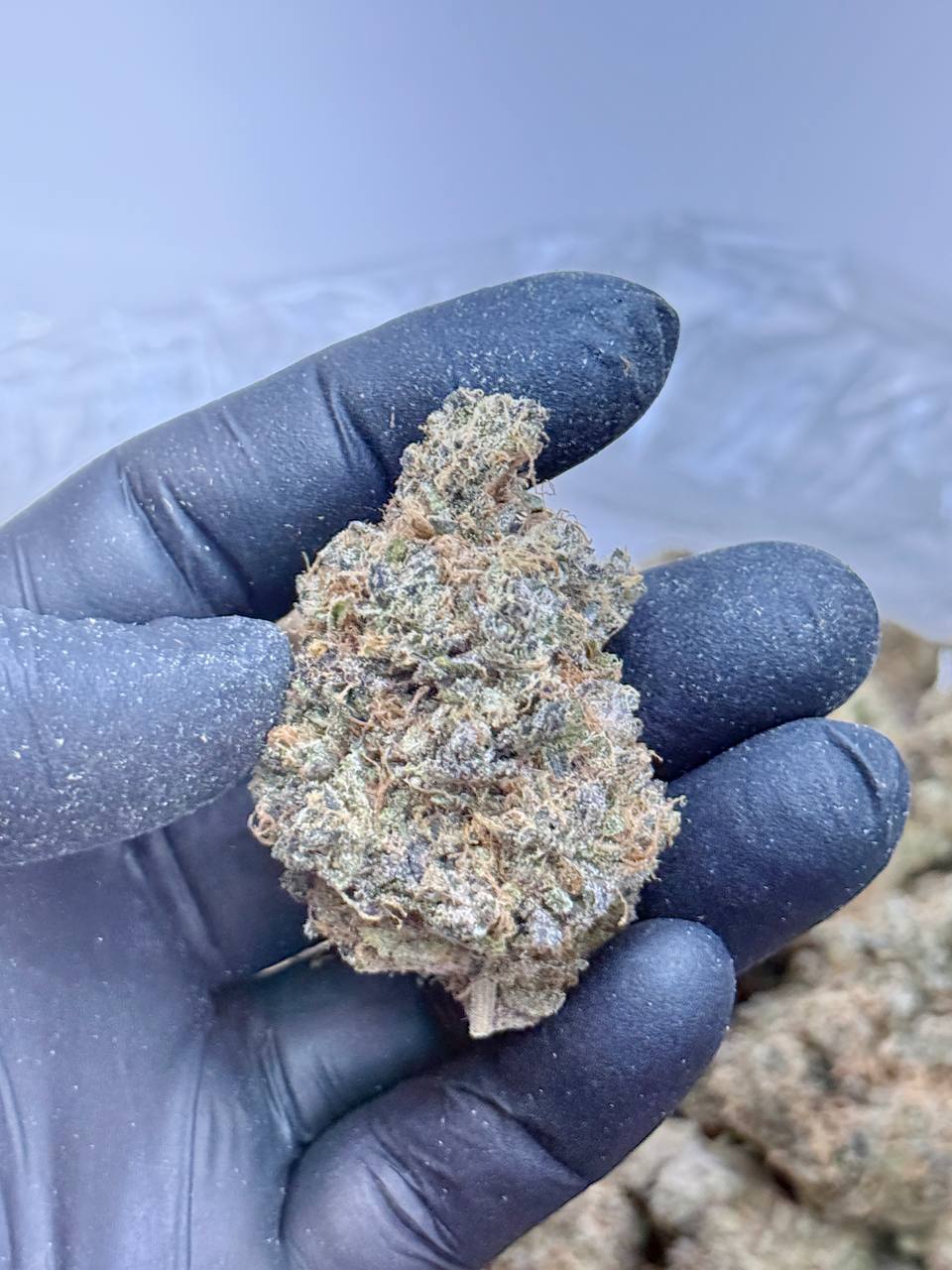 Grapefruit Zlushiez - Image 3