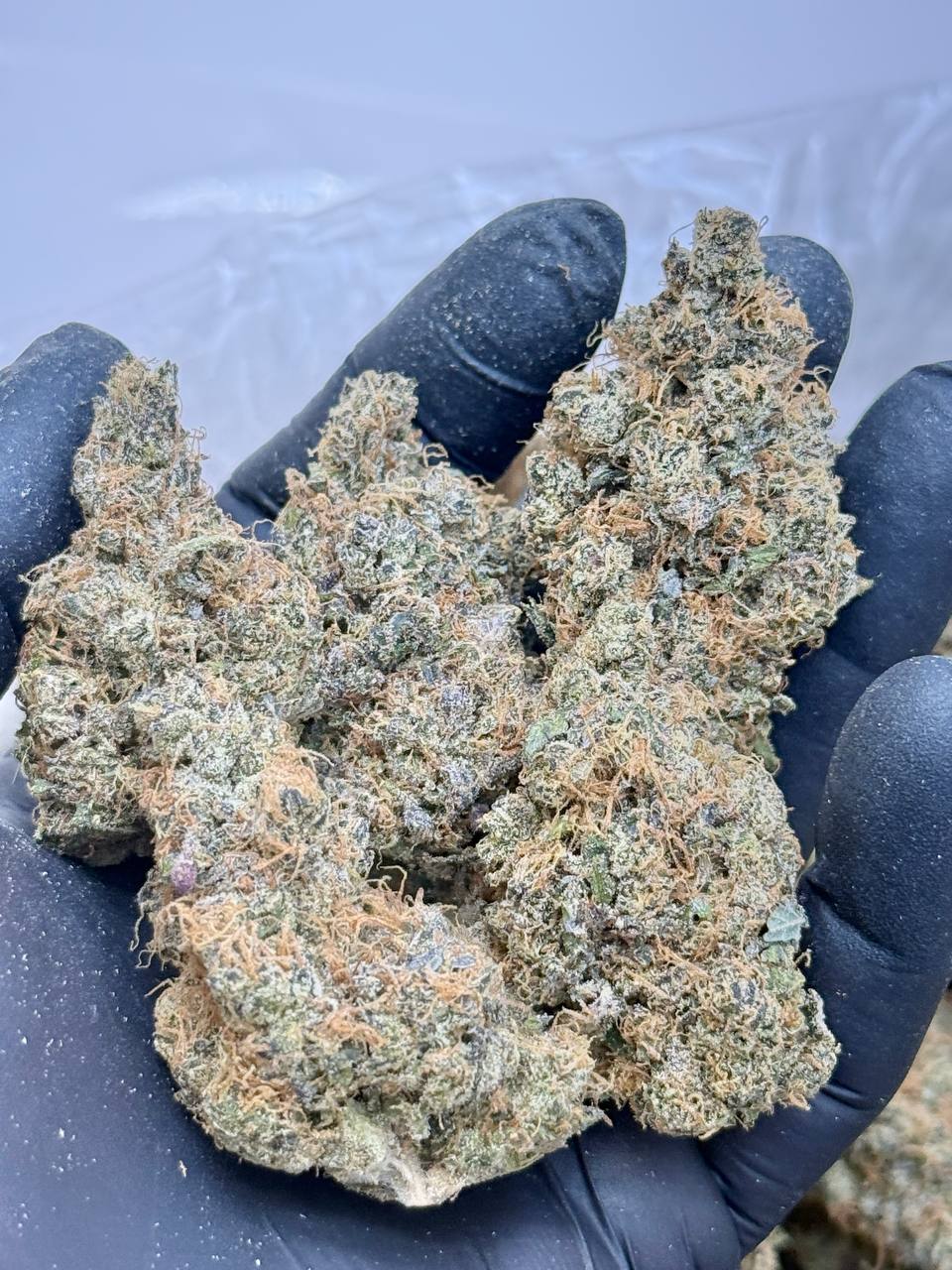 Grapefruit Zlushiez - Image 4