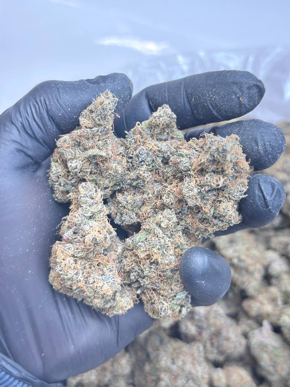 Grapefruit Zlushiez - Image 2