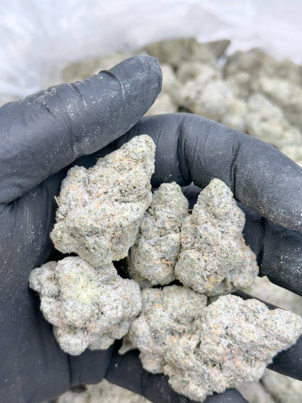 Diamond Pink Zkittles - Image 3
