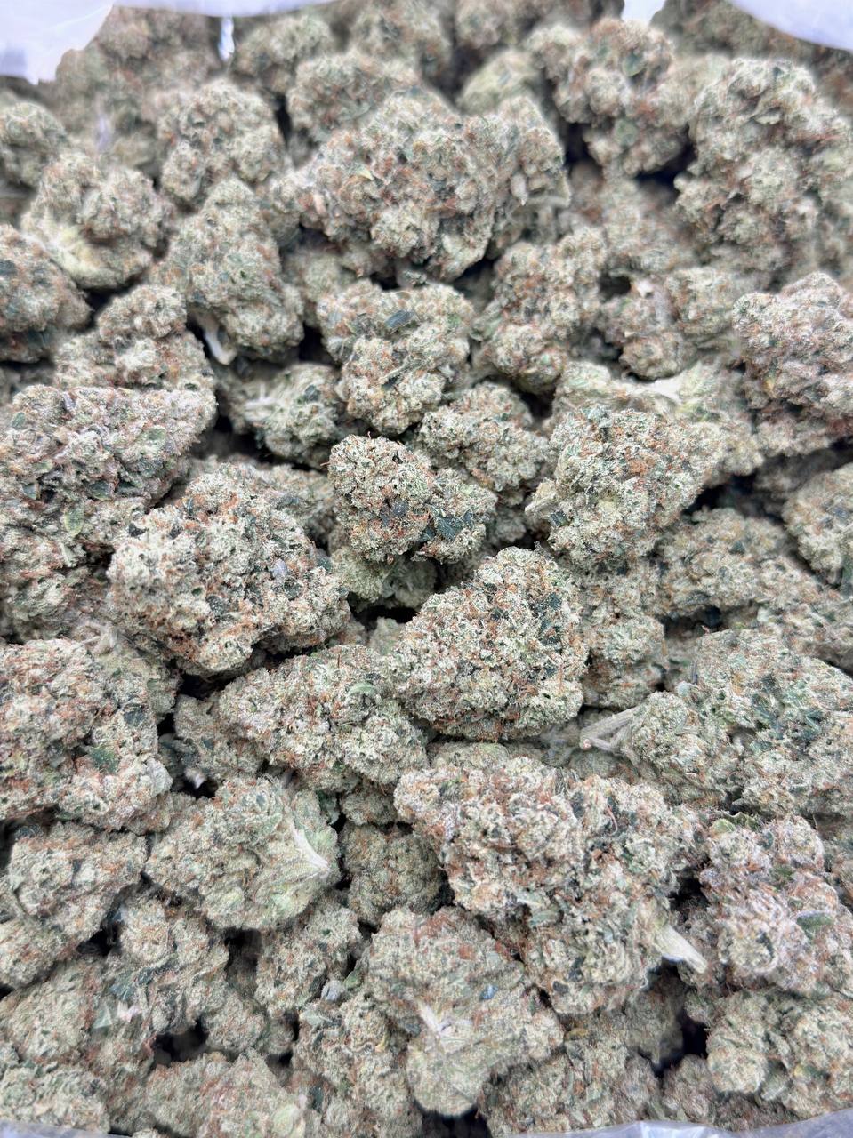 Motor Breath #15 -Living Soil - Image 2