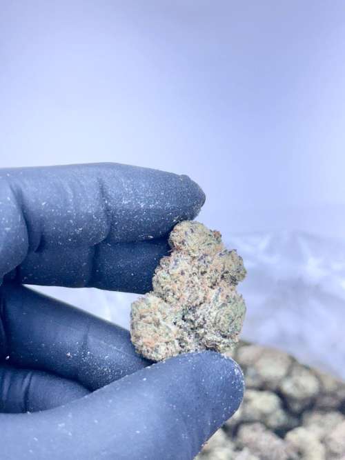 Black Zoap