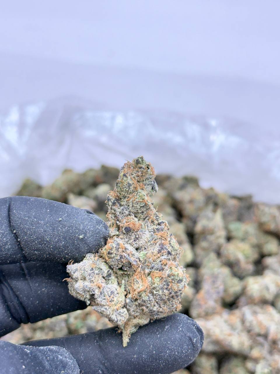 Grape Diamonds -Living Soil - Image 3