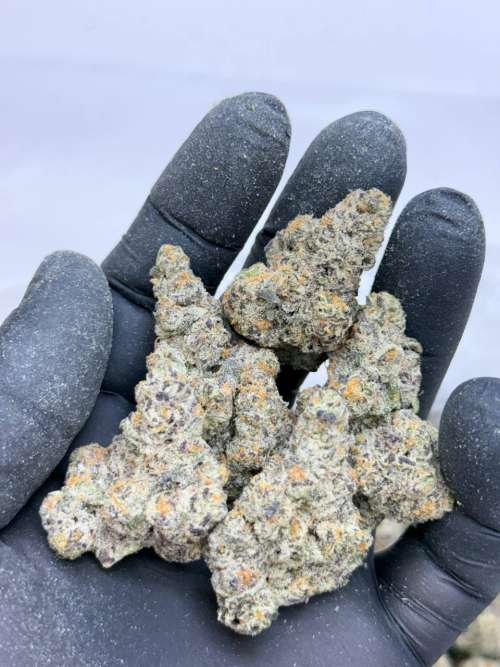 Dank Dough- Living Soil