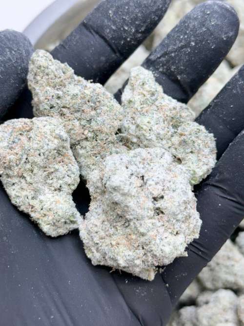 Orange Cream Pop Diamond