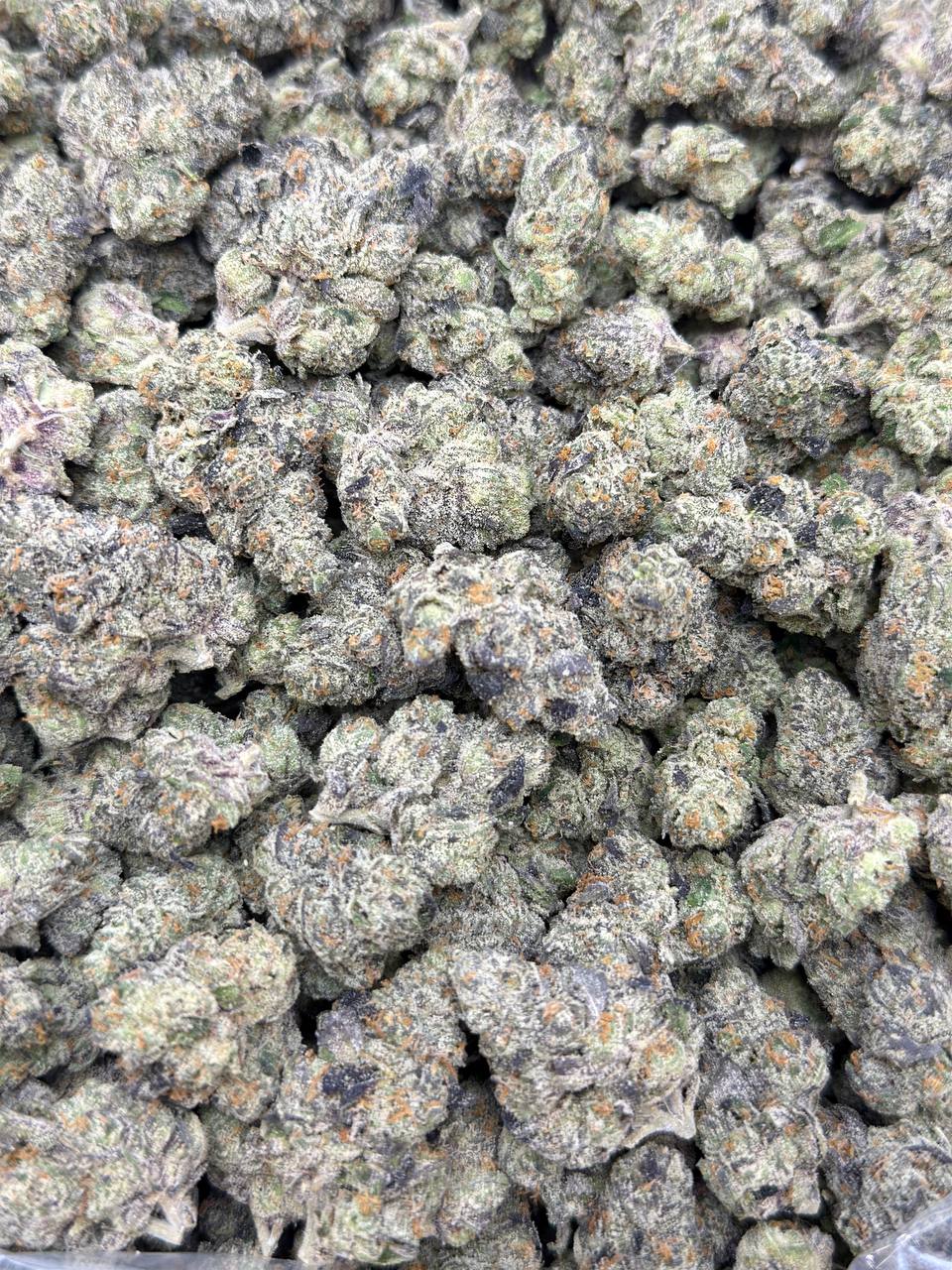 Honeydew-Living Soil - Image 2