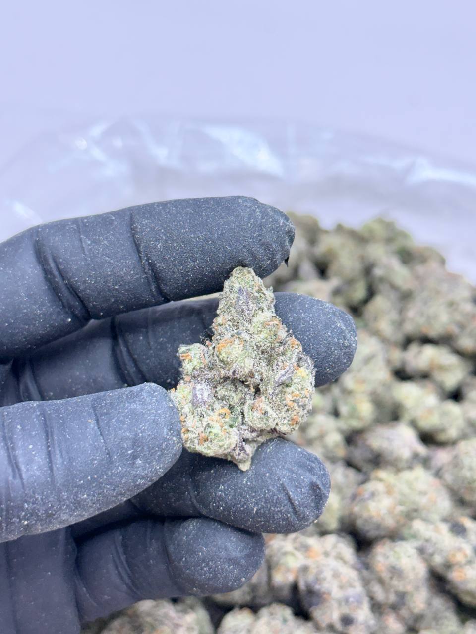 Honeydew-Living Soil - Image 3