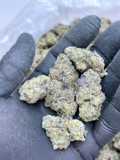 Honeydew-Living Soil