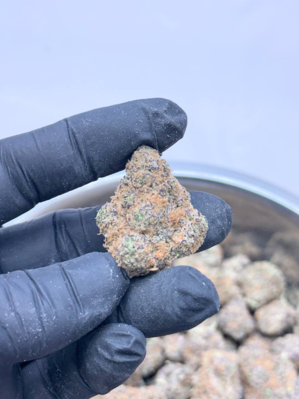 Swedish Phish - Image 2