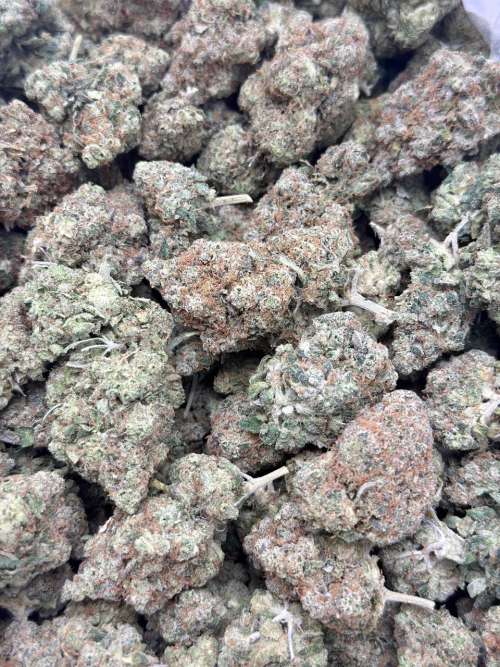 GG4  BUDGET 180oz