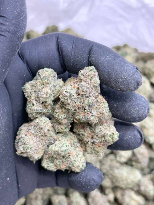 Apple Rock Candy-Ash Farms