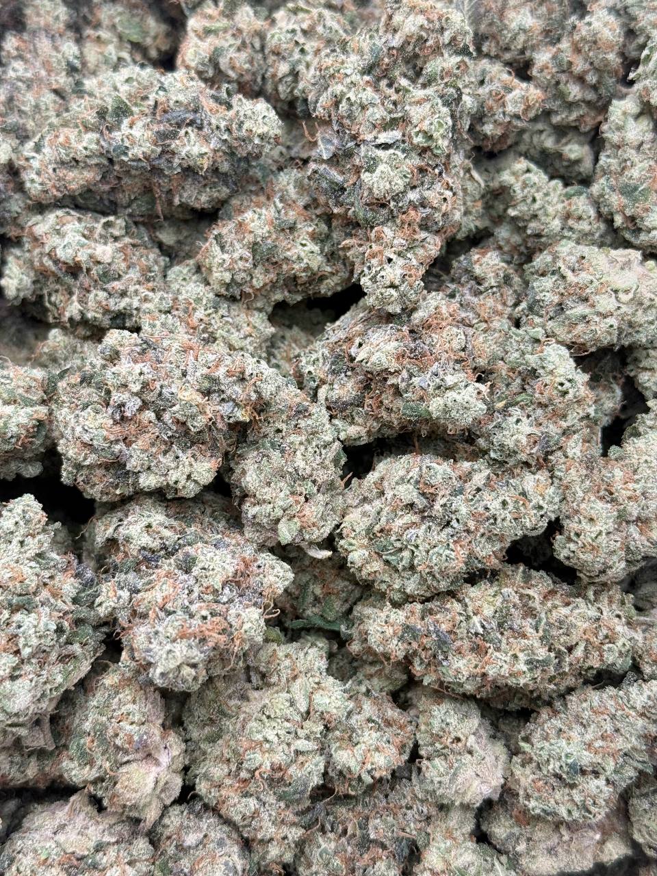 Pink Death Star-Premium Living Soil - Image 2
