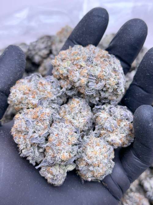 Dragons Breath