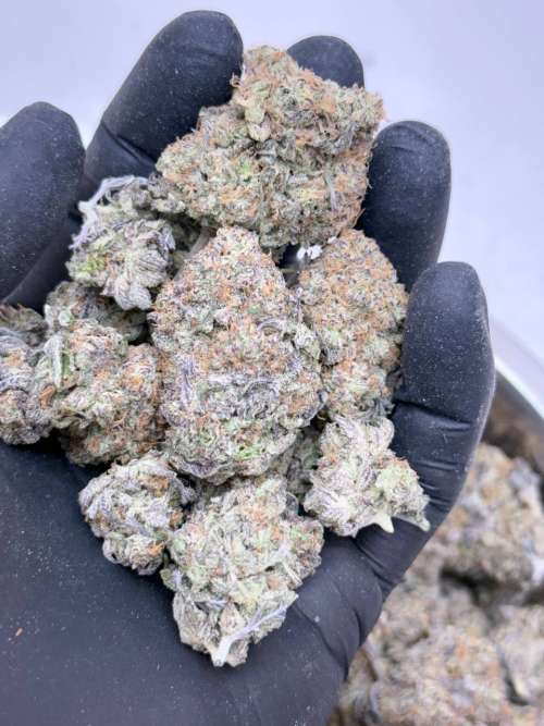 Jelly Pancakes BUDGET