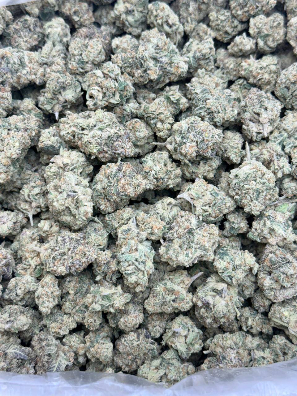 Lemon Sour Diesel -BUDGET 180 - Image 2