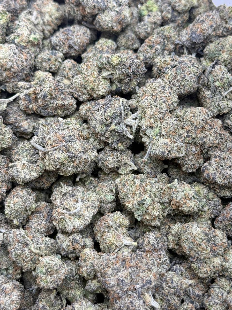 Fruitopia - Image 3