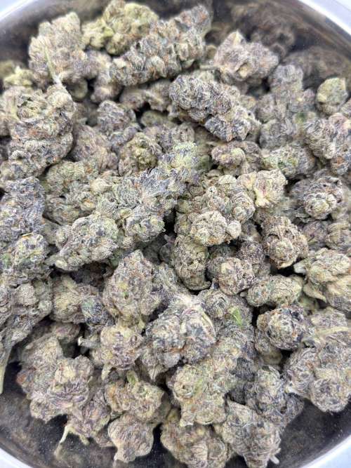 White Zlushies - Living Soil