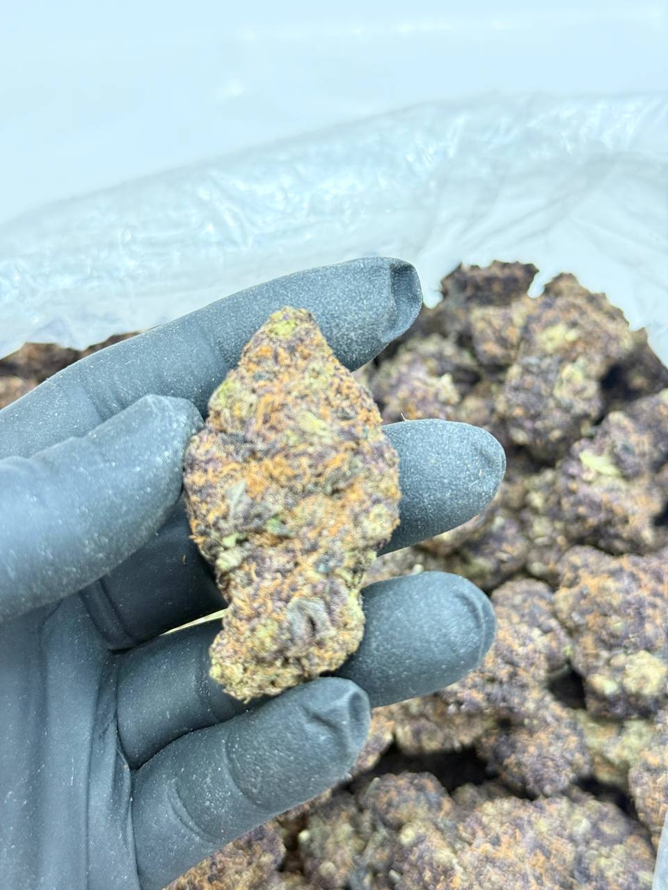 Purple Bubba (Budget 160 oz) - Image 3