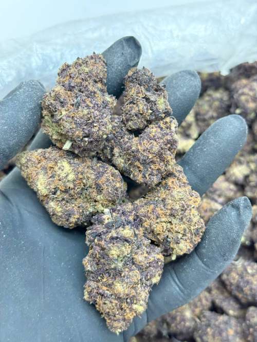 Purple Bubba (Budget 160 oz)