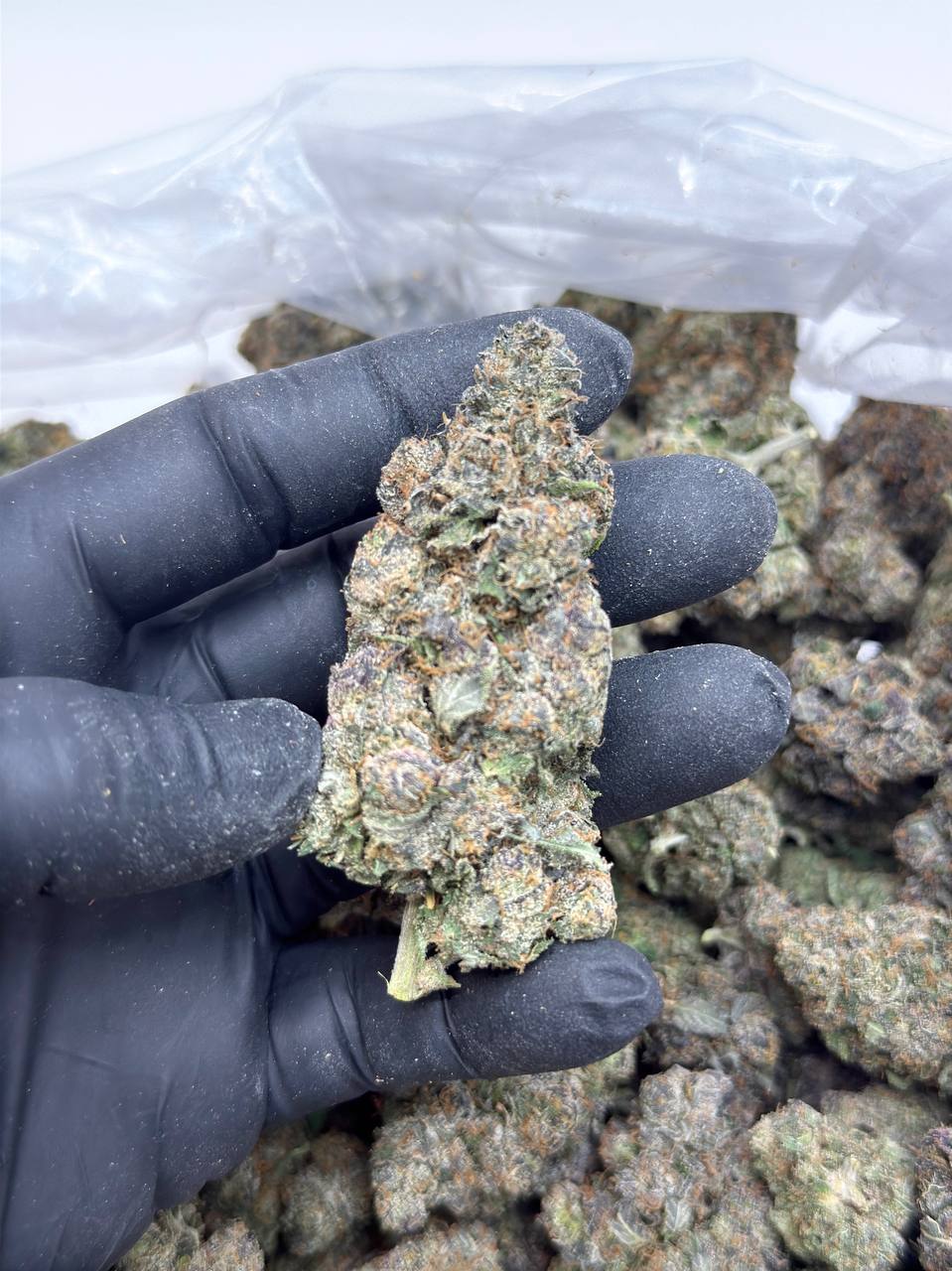 Gas Runtz - Image 3