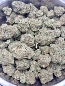 Sherbert- BUDGET 180 oz