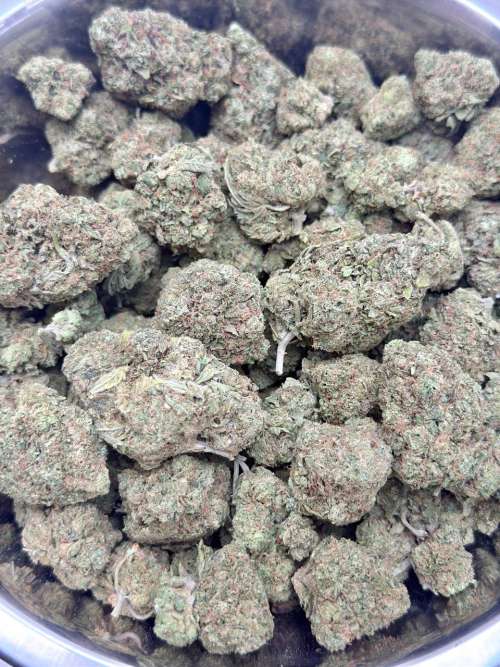 Sherbert- BUDGET 180 oz