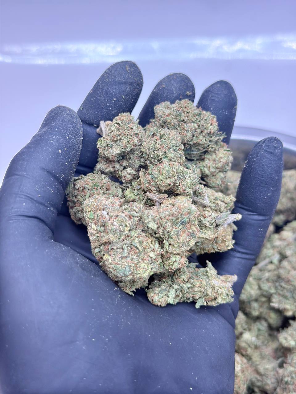 Mochi BUDGET 170 - Image 2
