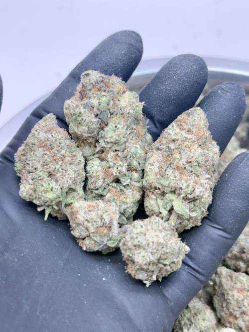 BlackBerry
