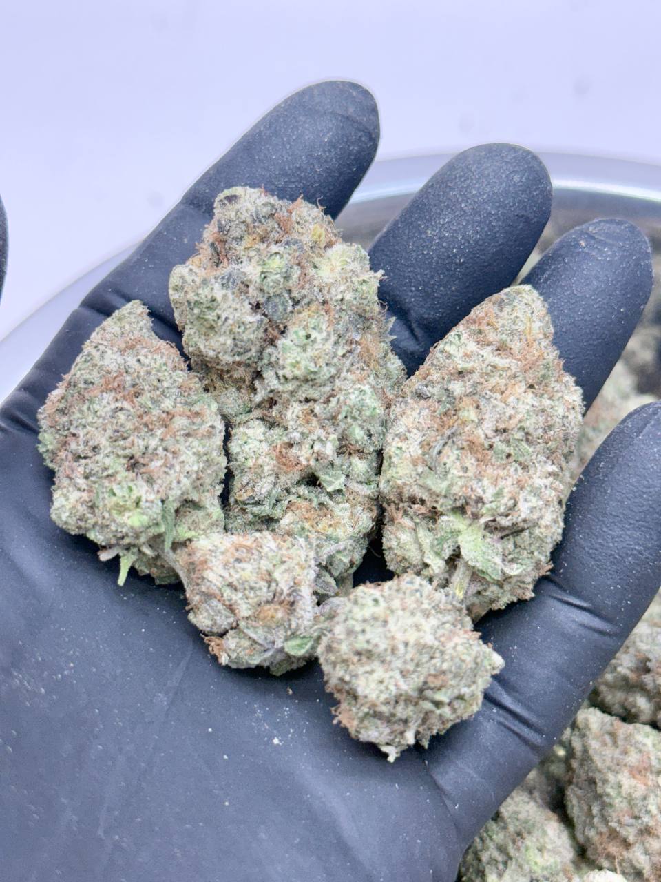 BlackBerry