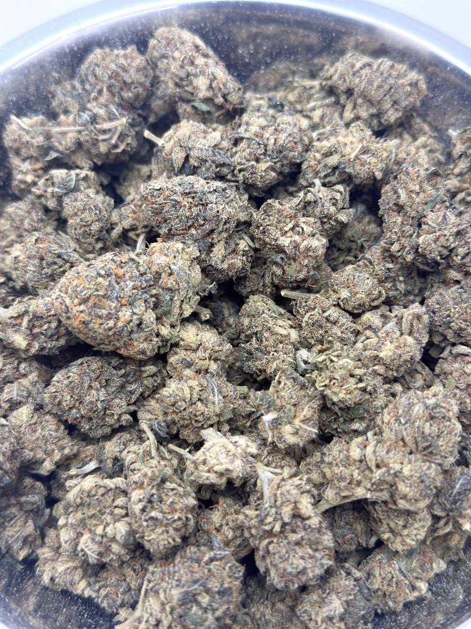 Candy Cane- BUDGET 180 oz - Image 2