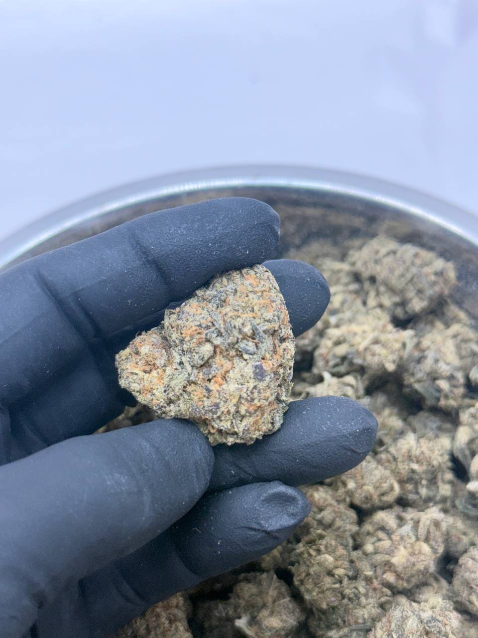 Candy Cane- BUDGET 180 oz - Image 3
