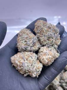 Frosty