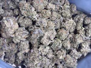 Blackberry Pie- BUDGET 180 oz