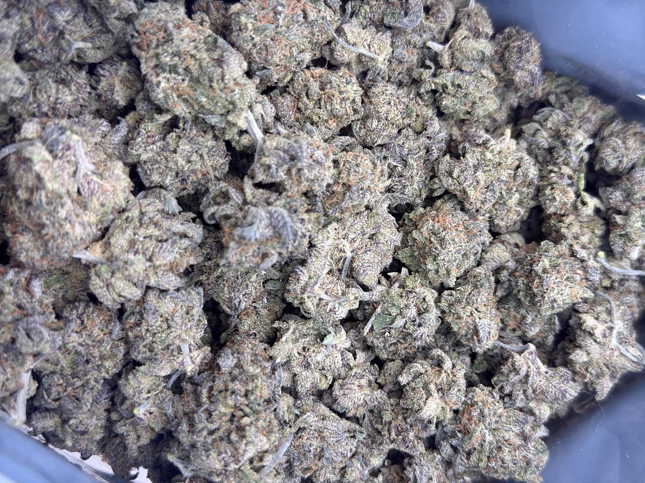 Blackberry Pie- BUDGET 180 oz