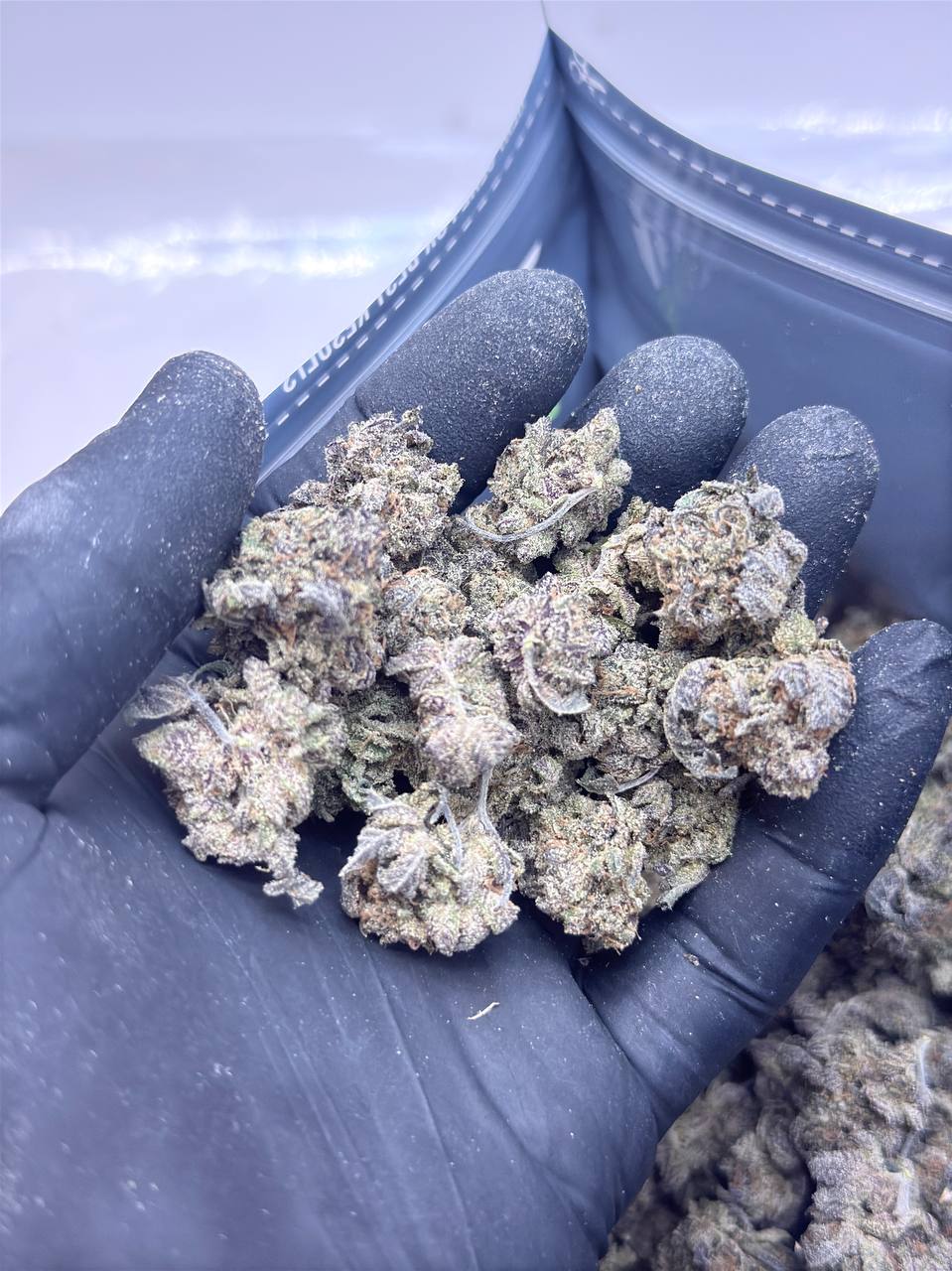Blackberry Pie- BUDGET 180 oz - Image 2