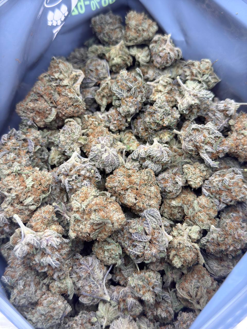 Blueberry Muffin- BUDGET 180 oz